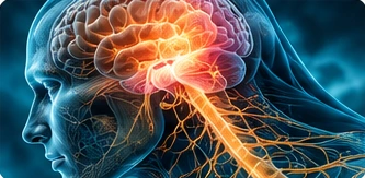 Neurological & Other Conditions anatomical illustration